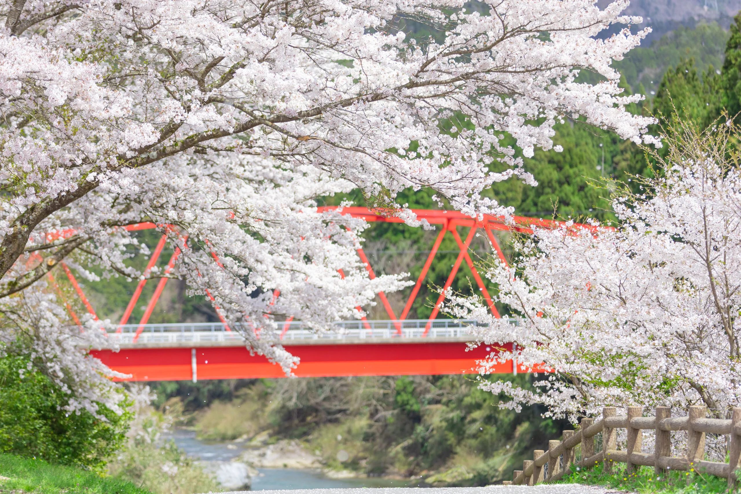 🏞️ 미야야마 고향 교류 공원(미야야마 후루사토 후레아이 코엔) 이미지 8